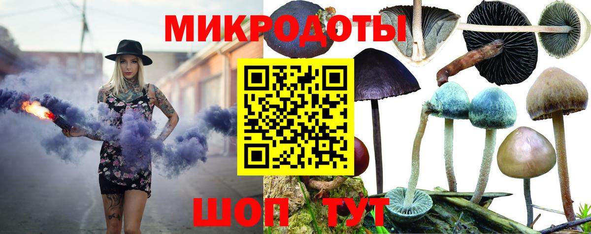 Псилоцибиновые грибы GOLDEN TEACHER  Вход с VPN  Гусиноозёрск 